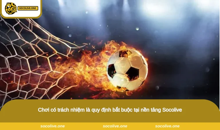 Chơi Có Trách Nhiệm - Quy Định Tham Gia Tại Nền Tảng Socolive 1 Chơi có trách nhiệm là quy định bắt buộc tại nền tảng Socolive