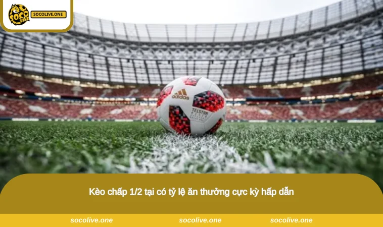 Kèo Chấp 1/2 - Hướng Dẫn Cách Đọc & Bắt Kèo Hiệu Quả 2026 1 Kèo chấp 1/2 tại có tỷ lệ ăn thưởng cực kỳ hấp dẫn