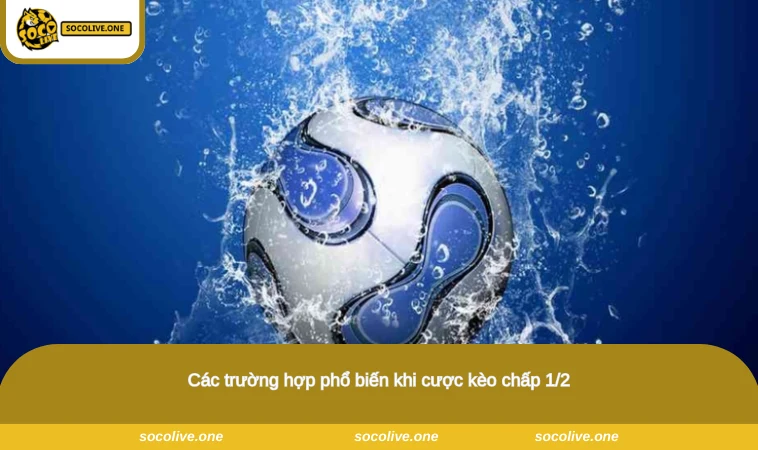 Kèo Chấp 1/2 - Hướng Dẫn Cách Đọc & Bắt Kèo Hiệu Quả 2026 2 Các trường hợp phổ biến khi cược kèo chấp 1/2