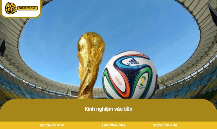 Kèo Chấp 1/2 - Hướng Dẫn Cách Đọc & Bắt Kèo Hiệu Quả 2026 3 Kinh nghiệm vào tiền