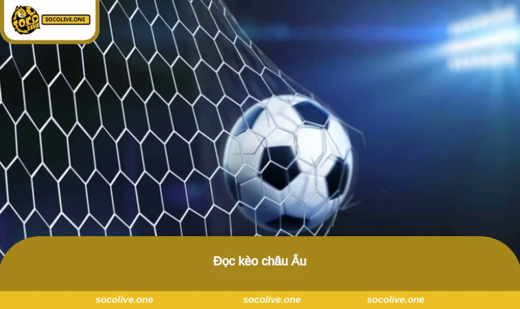 Tỷ Lệ Cá Cược Bóng Đá - Hướng Dẫn Cách Đọc Cho Tân Thủ 2 Đọc kèo châu Âu